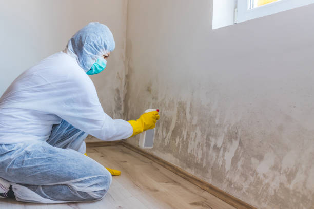 Licensed Mold Testing service in Bedford, MA - WQB Mold Removal