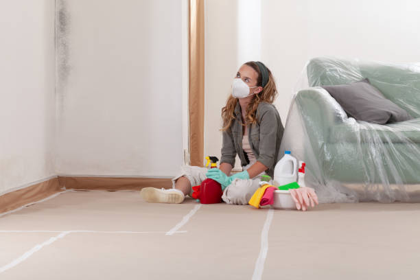 Reliable Mold Testing contractor in Bedford, MA by WQB Mold Removal